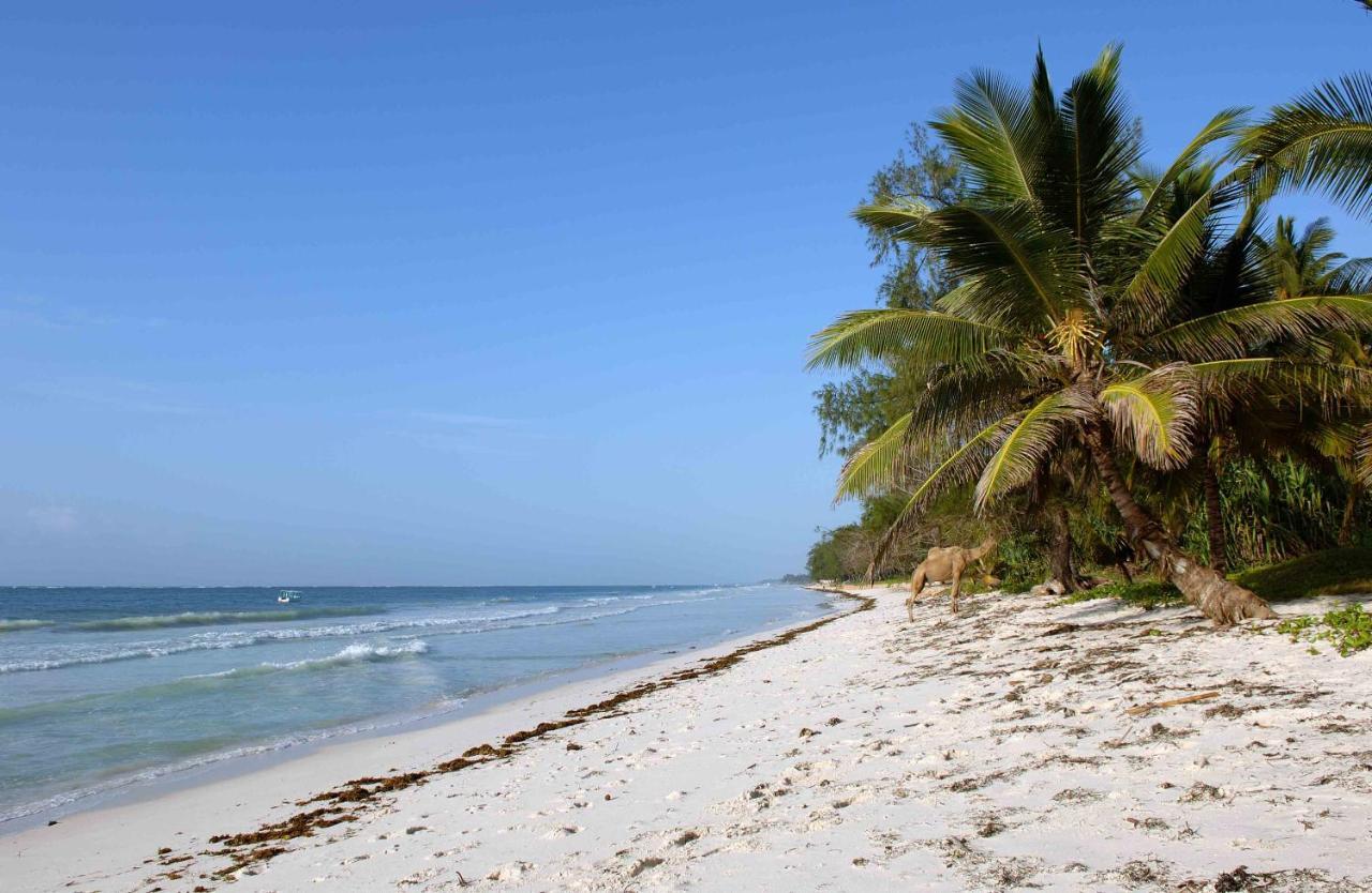 Baobab Beach House Bed And Breakfast Ukunda Esterno foto